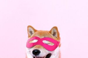 Top 10 MetaMask Security Tips to Keep Your Crypto Safe