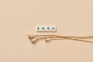 What Is a SeedPhrase and Why It Matters for Crypto Security