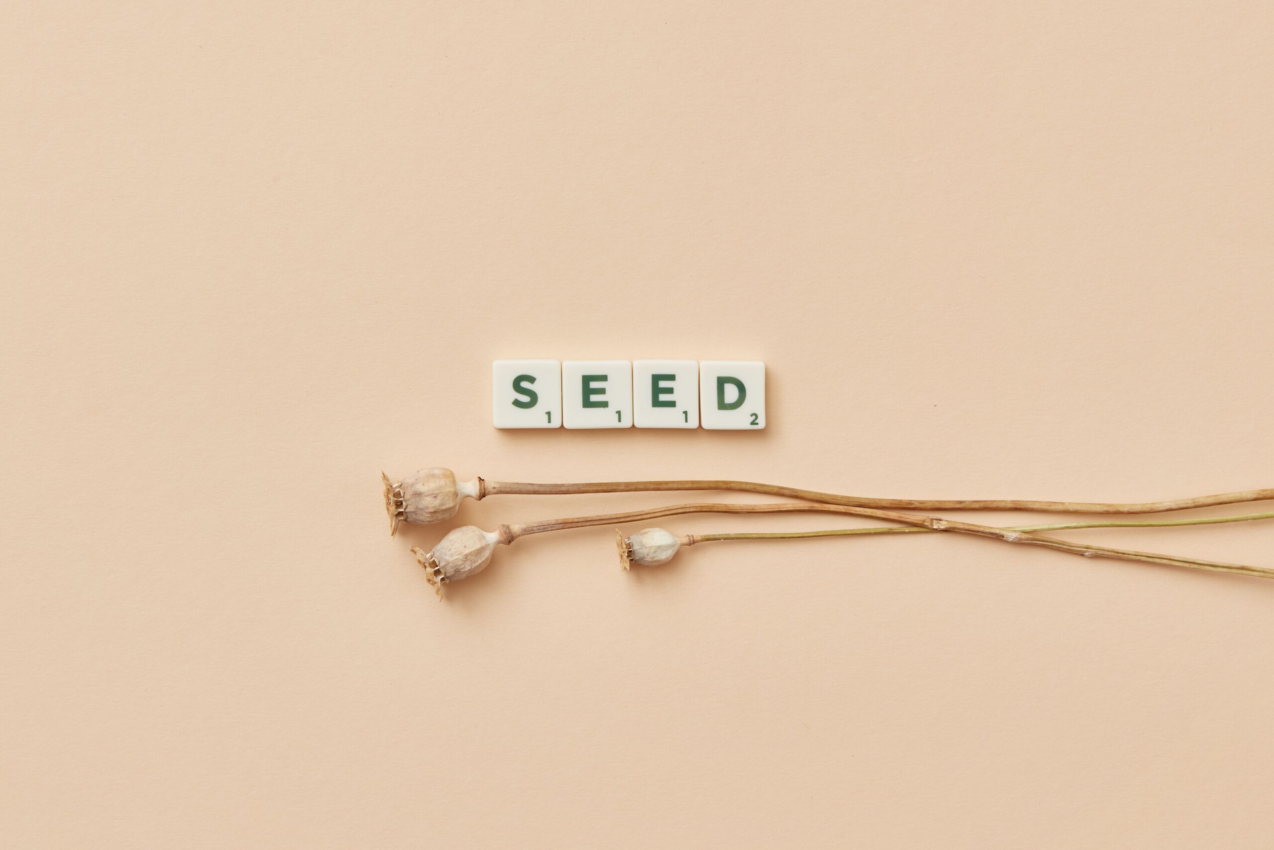 SeedPhrase